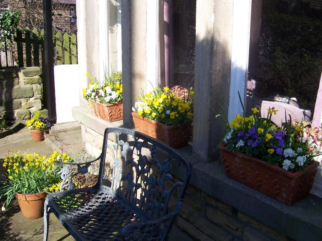 Spring Lodge Harrogate Ngoại thất bức ảnh